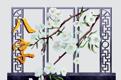 命宫、身宫与胎元