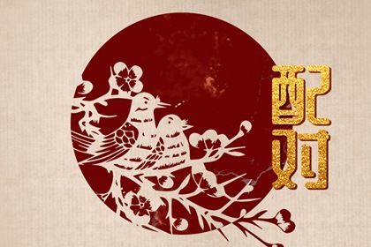 小车车牌号码吉凶查询 车牌号免费测算 测试车牌号吉凶查询 查询车牌号码吉凶 672车牌号打分
