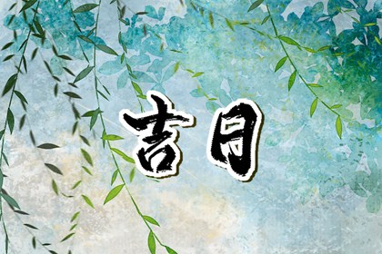 今日冲煞怎么读