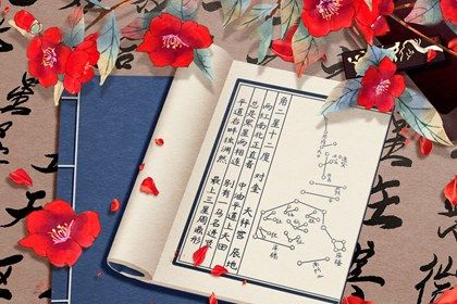 在线排盘看什么